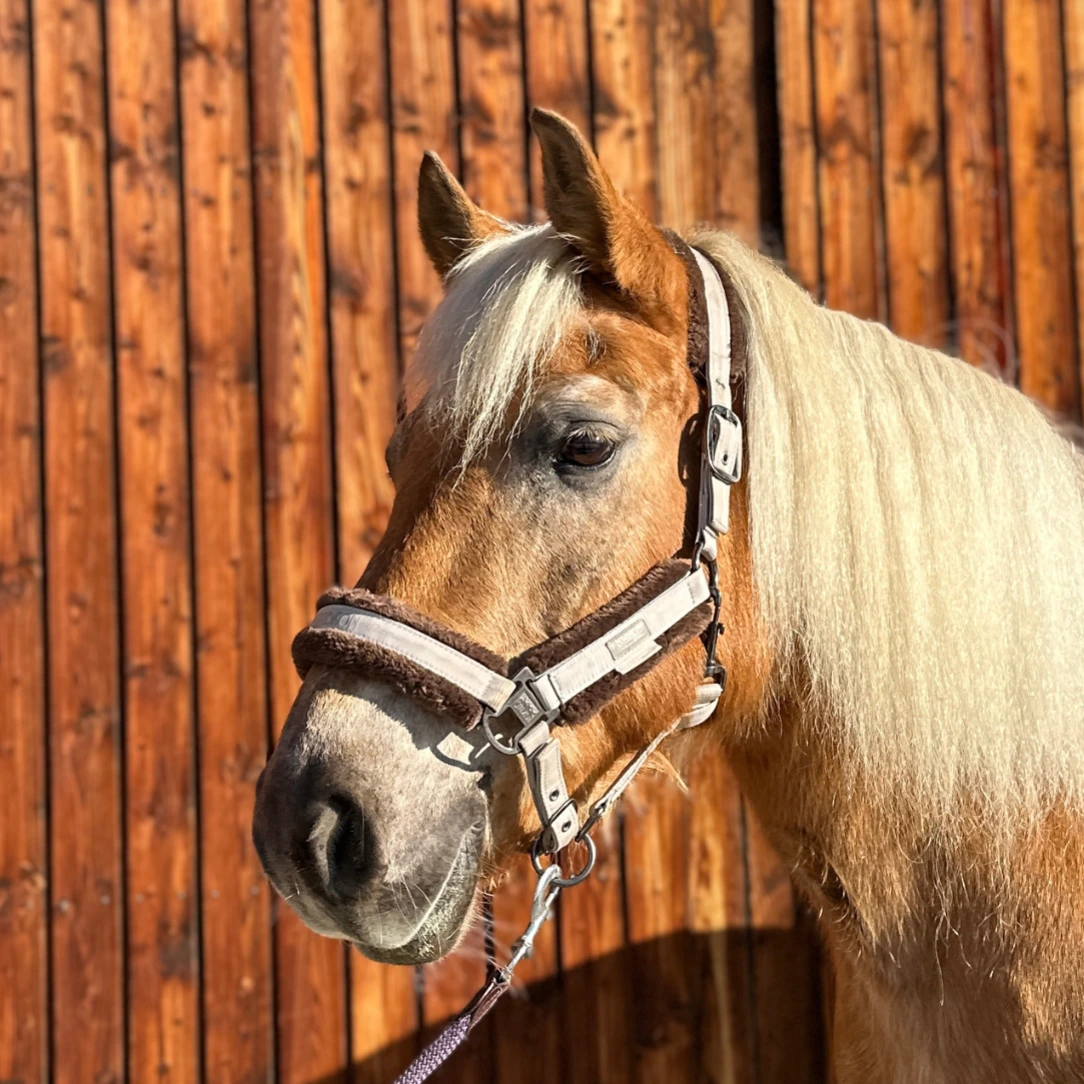 Reiterhof Hueb - Namira