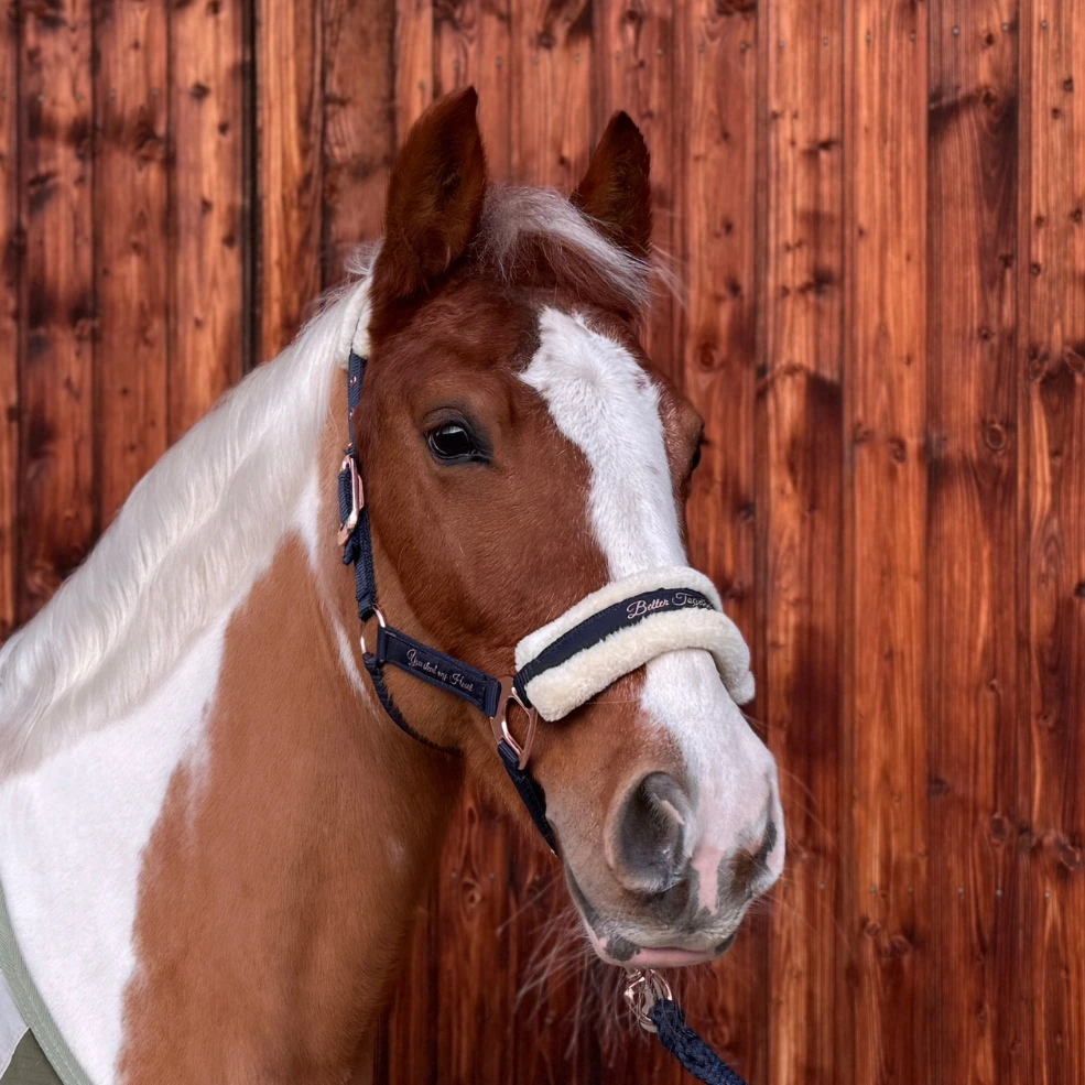 Reiterhof Hueb - Panni