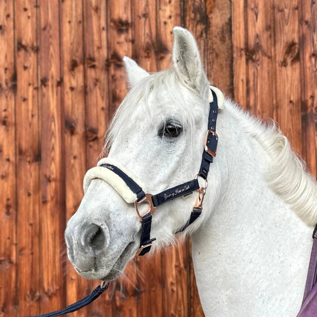 Reiterhof Hueb - Tündér